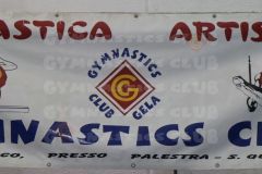 16-12-2015 ginnastica in famiglia